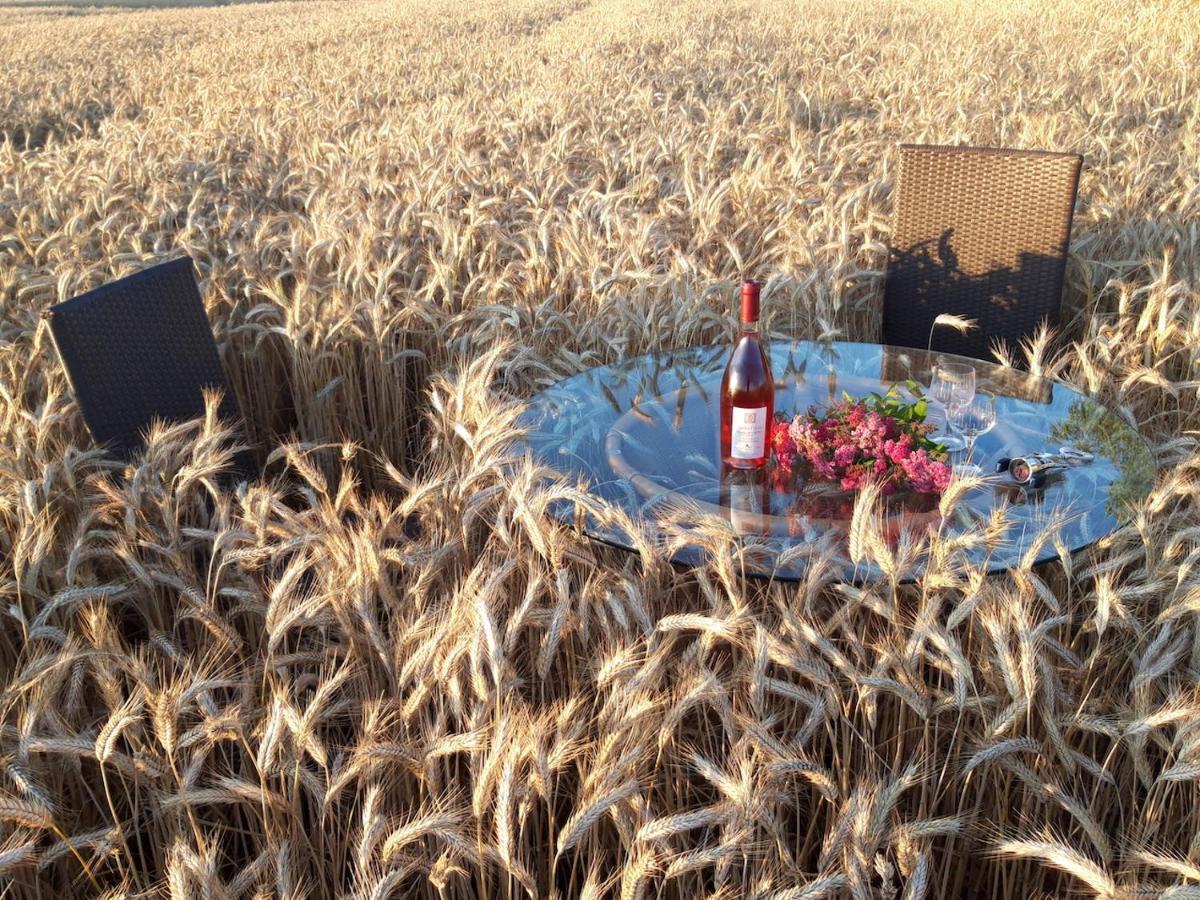 Ein Bett Im Kornfeld - Haus Weitblick - Mit Innenpool Schonfeld  Εξωτερικό φωτογραφία